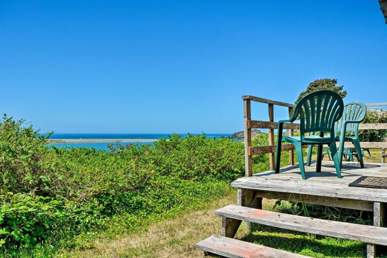 Smith River Vintage Cabin Oceanfront Deck And Views Екстериор снимка
